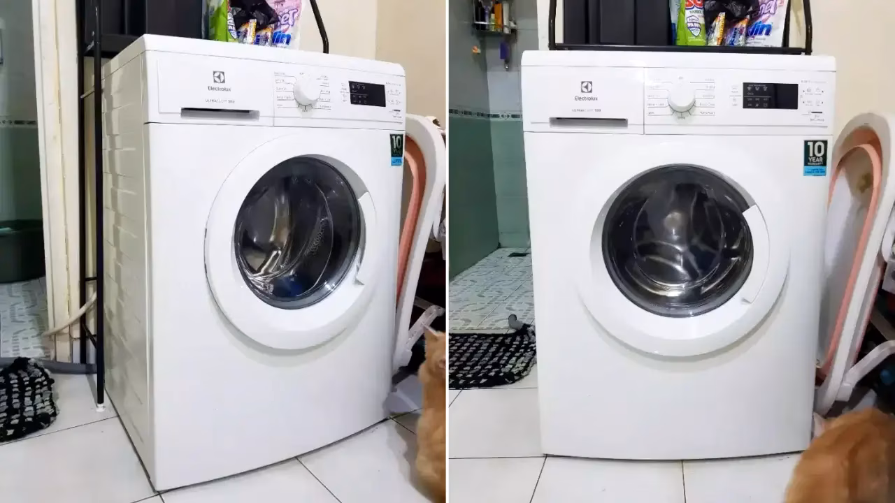 Mesin Cuci Electrolux EWF8025